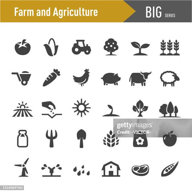 stockillustraties, clipart, cartoons en iconen met boerderij en landbouw iconen-grote series - katoenplant