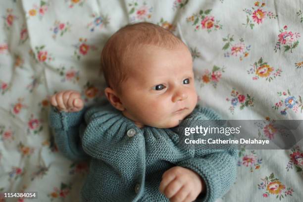 portrait of a new born baby girl - weibliches baby stock-fotos und bilder