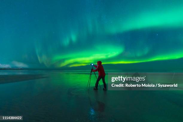 photographer on skagsanden beach during northern lights, norway - polar climate ストックフォトと画像