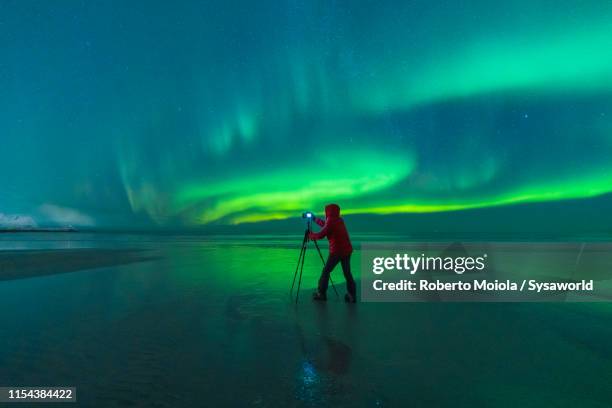 photographer on skagsanden beach during northern lights, norway - travel photographer stock pictures, royalty-free photos & images