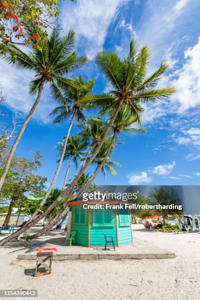 view of palm tree fringed worthing beach, barbados, west indies, caribbean, central america - west palm beach coast stock pictures, royalty-free photos & images