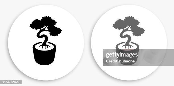 bonsai tree black and white round icon - small tree white background stock illustrations