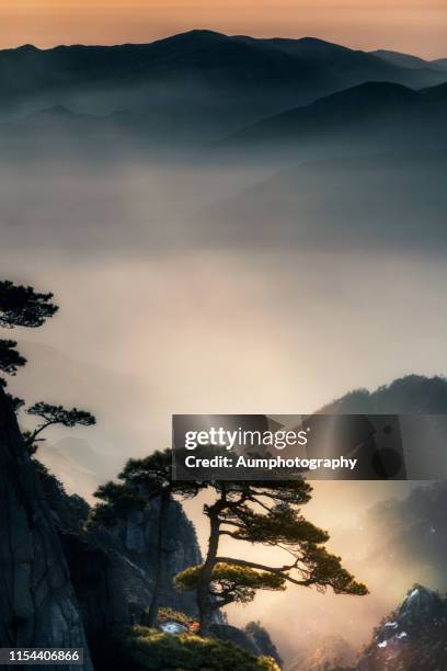 huang shan, anhui province, china - huangshan stock-fotos und bilder