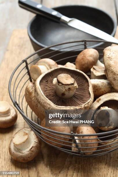 portobello and swiss brown mushrooms - white mushroom stock pictures, royalty-free photos & images