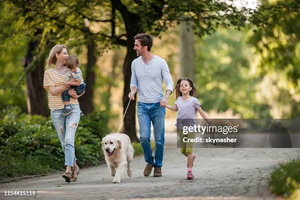 young family and their golden retriever during spring day at the park. - family walking stock pictures, royalty-free photos & images