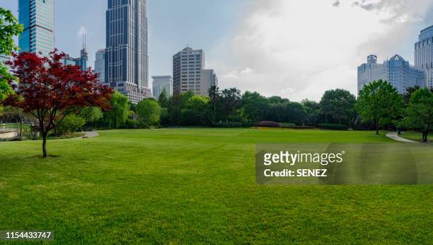 shanghai downtown greenland with skyscrapers - grass area stock pictures, royalty-free photos & images