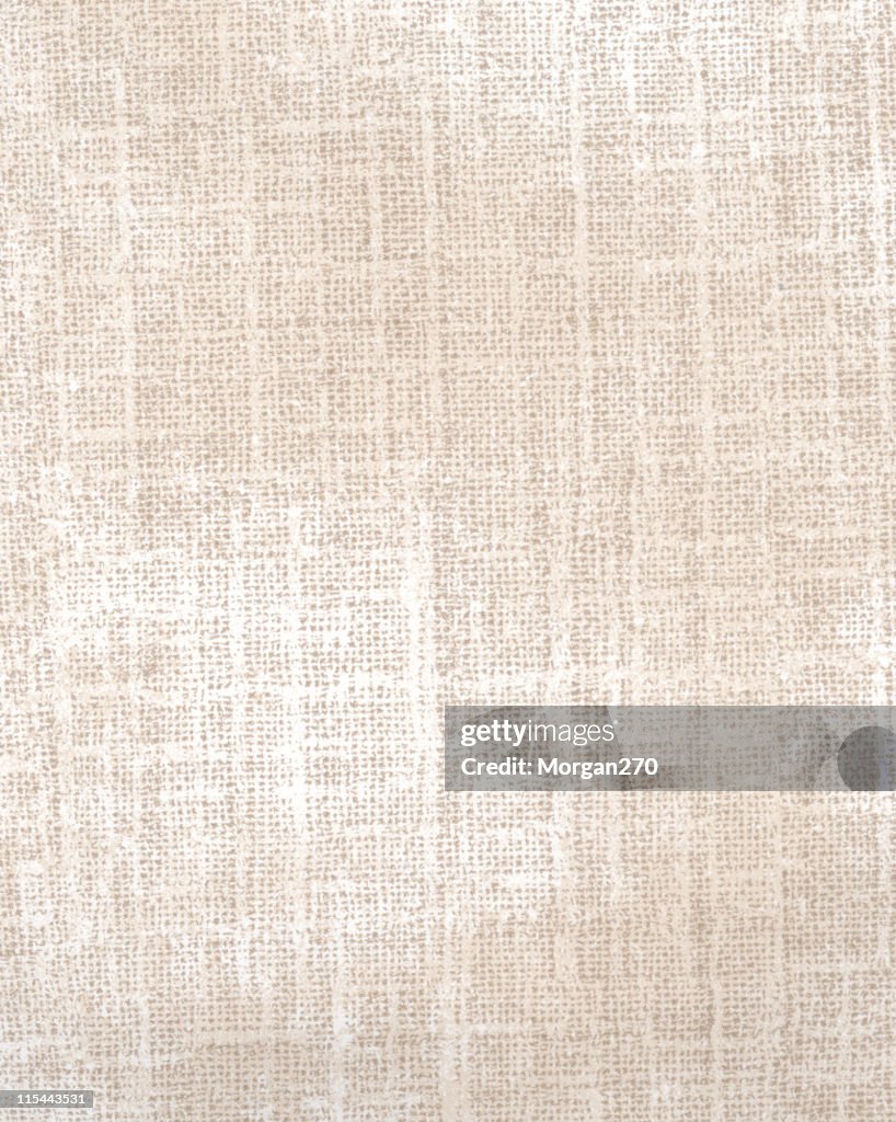 Starched Cotton Fabric