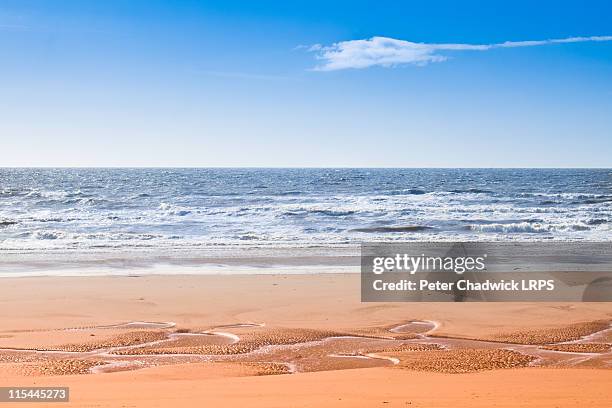 blackpool beach - blackpool sands stock pictures, royalty-free photos & images