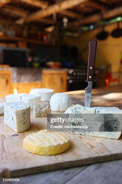 フランス産チーズ - roquefort cheese ストックフォトと画像