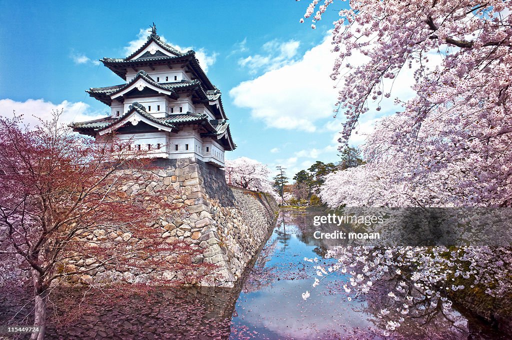 Hirosaki castle