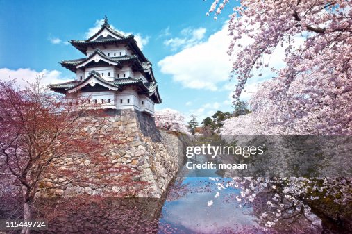 Hirosaki castle Hirosaki castle