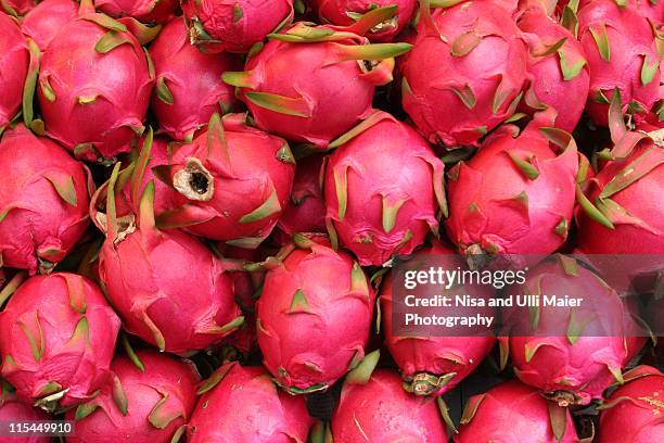 dragonfruits at market in china - röd pitahayafrukt bildbanksfoton och bilder