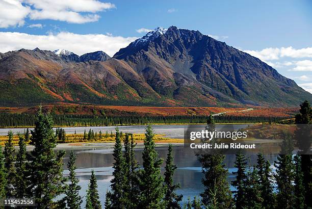 denali highway, alaska - denali highway stock pictures, royalty-free photos & images