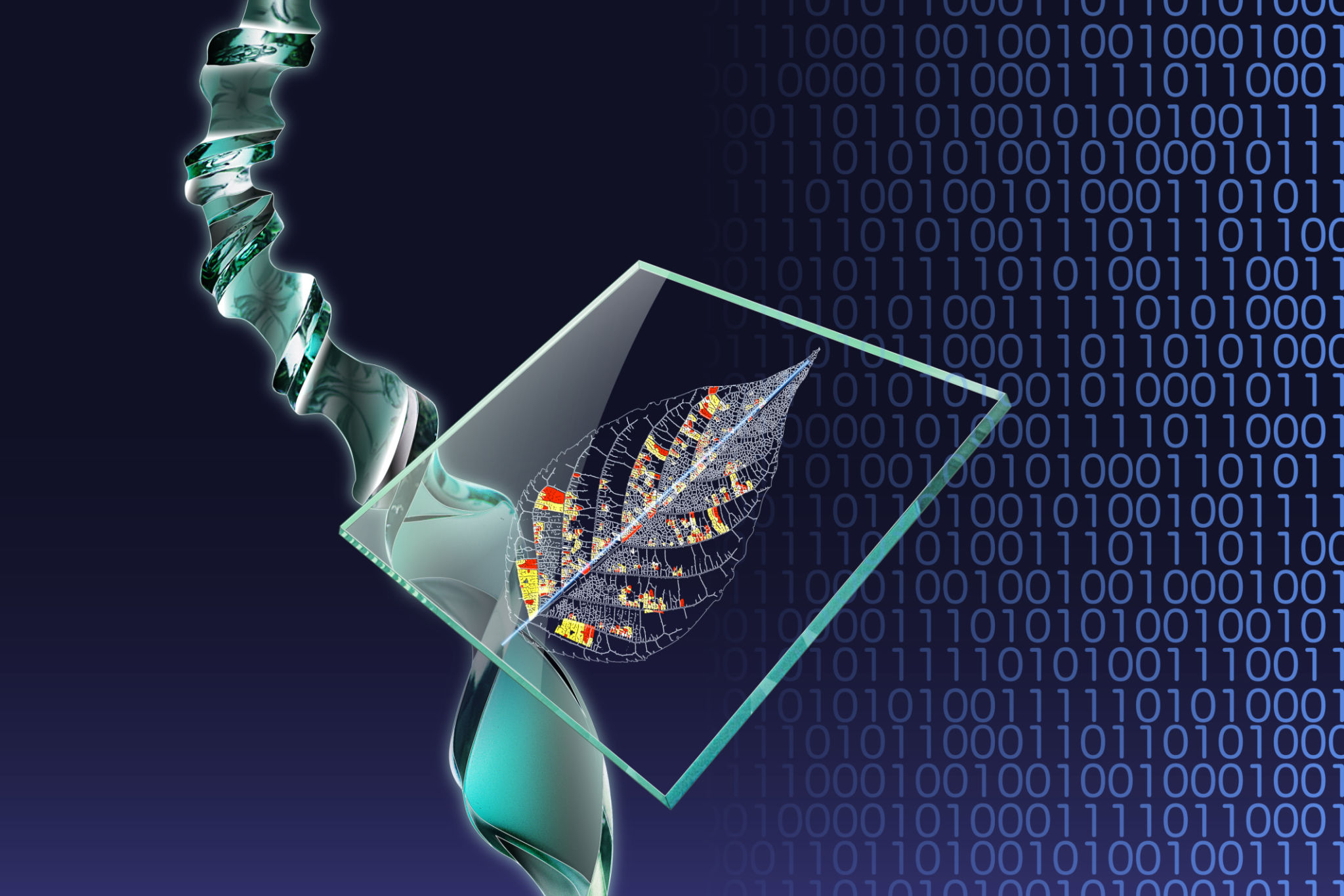 online learning bioinformatics