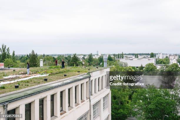 industriebau mit einem städtischen garten auf dem dach, die menschen machen gartenarbeit - berlin stadt stock-fotos und bilder