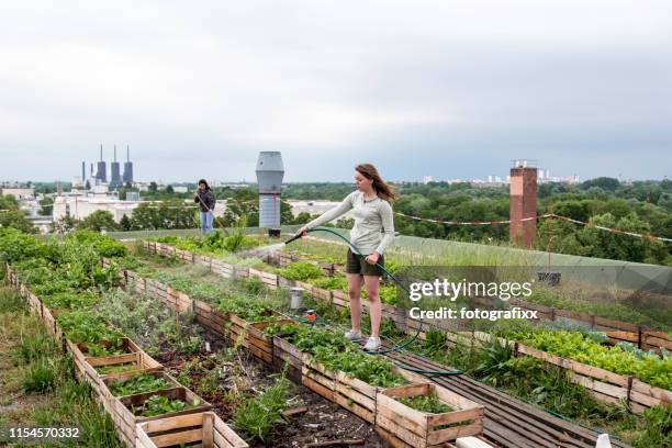 young woman waters plants in an urban garden in front of a power station - urban garden stock pictures, royalty-free photos & images