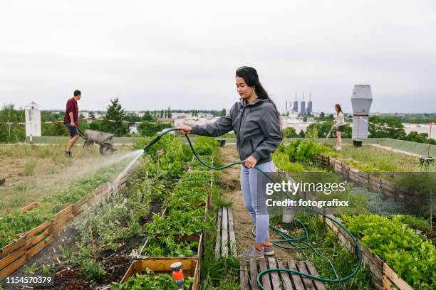 young woman waters plants in an urban garden in front of a power station - the roof gardens stock pictures, royalty-free photos & images