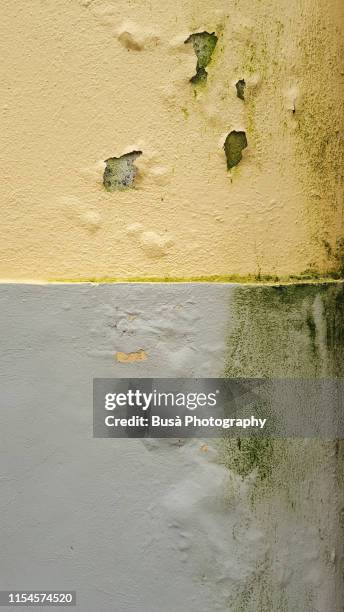 humidity and mold on plaster wall - sun blistered stock pictures, royalty-free photos & images