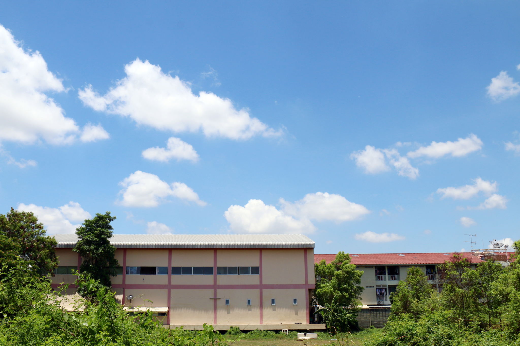 belleville business