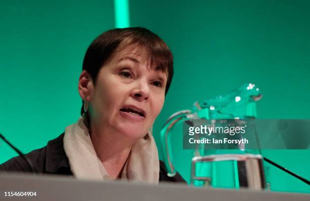 Caroline Lucas, Green Party MP for Brighton Pavilion hosts a panel discussion on a UK Green New Deal during the Green Party Spring conference held at...