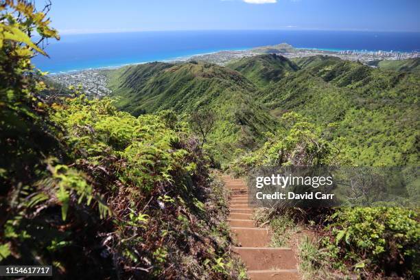 wiliwilinui hiking trail - oahu stockfoto's en -beelden