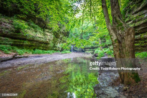 sleepy waterfall in the spring - rural illinois stock pictures, royalty-free photos & images