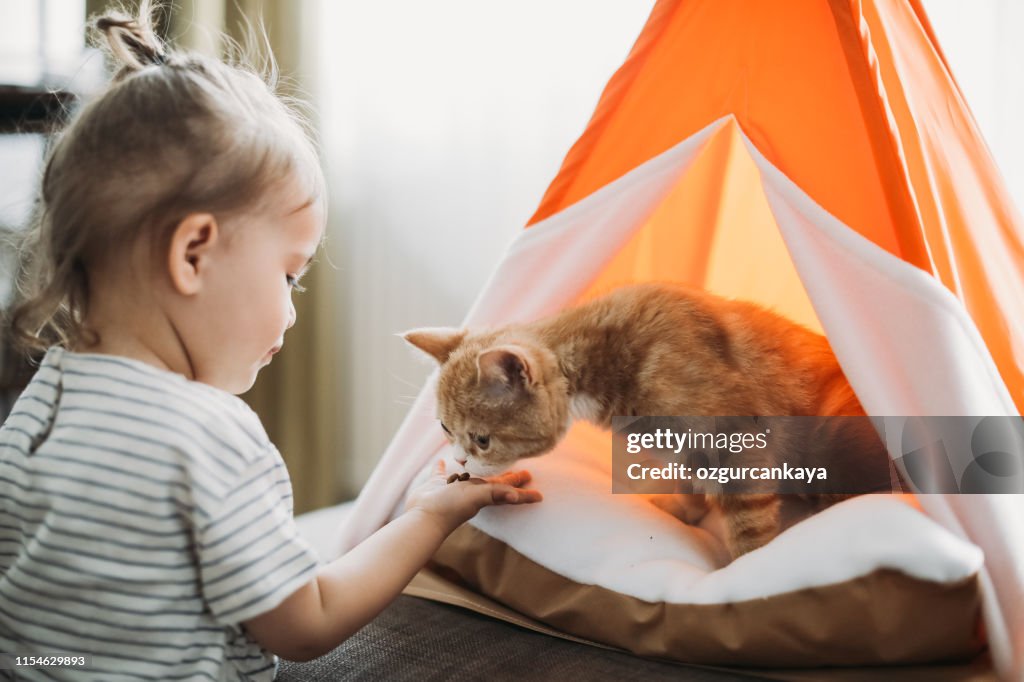 Child playing with cat at home. Kids and pets.