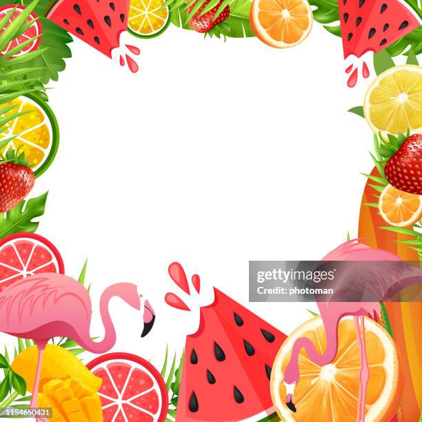 summer concept frame form tropical fruits and flamingos and empty copy space - flamingo pattern stock illustrations