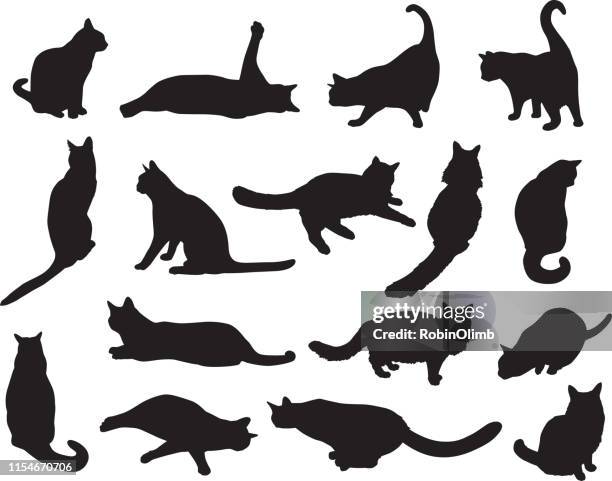 illustrations, cliparts, dessins animés et icônes de silhouettes de seize chats - queue de chat