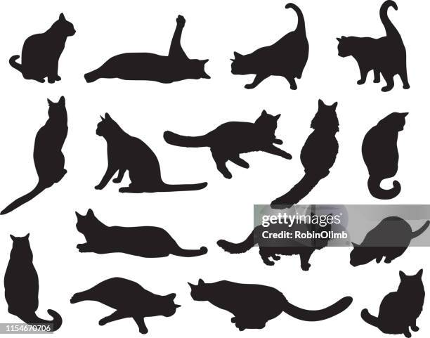 sixteen cat silhouettes - black and white cat stock illustrations