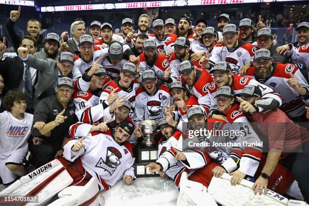 Members of the Charlotte Checkers celebrate after a win against the Chicago Wolves during game Five of the Calder Cup Finals at Allstate Arena on...