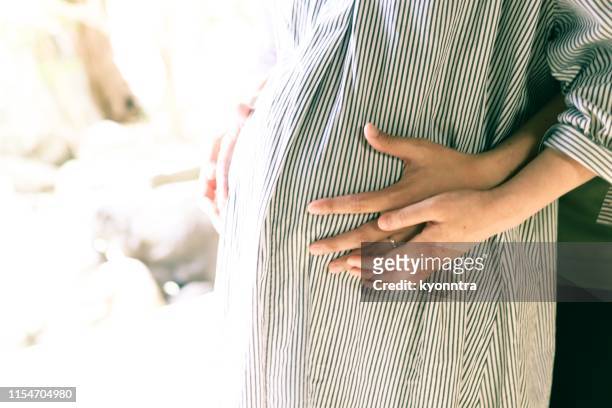 pregnant woman and husband - the japanese wife stock pictures, royalty-free photos & images