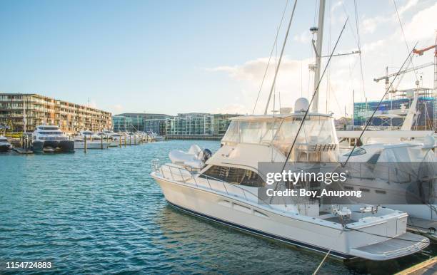 the luxury yacht parking at viaduct basin in auckland city, new zealand. - viaduct harbour fotografías e imágenes de stock