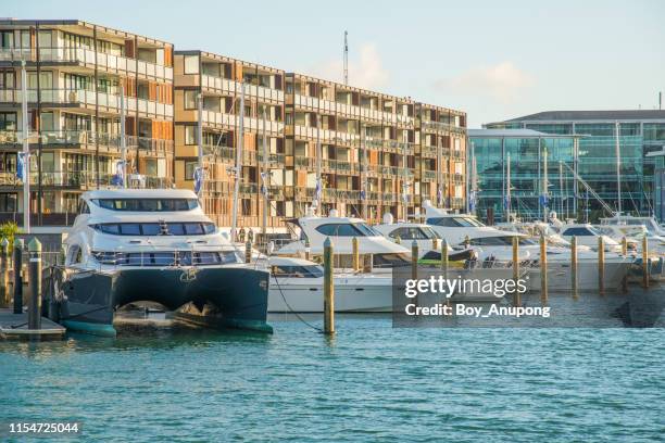group of luxury yacht parking at viaduct basin in auckland city, new zealand. - viaduct harbour fotografías e imágenes de stock