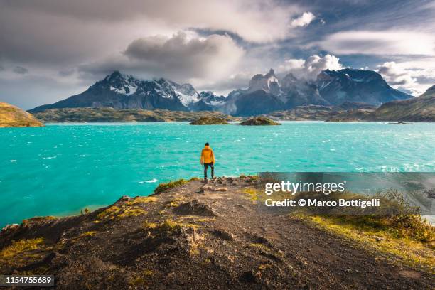 tourist admiring the cordillera paine in torres del paine national park, chile - south america landscape stock pictures, royalty-free photos & images