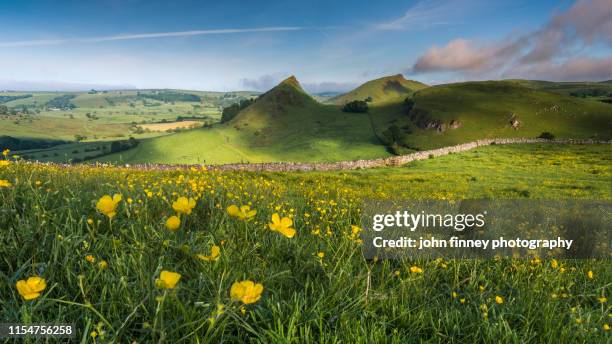 parkhouse hill with a buttercup field, peak district national park. uk. - buxton england stockfoto's en -beelden