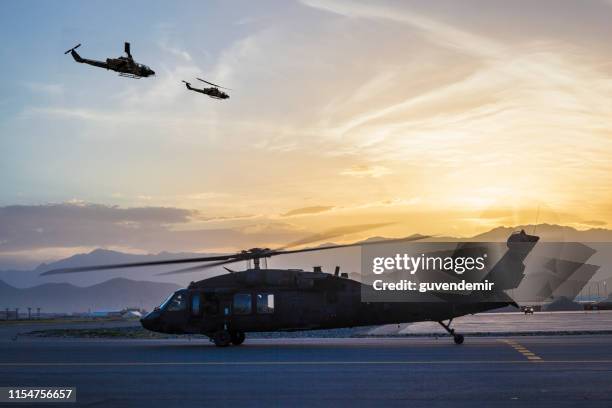 militärhubschrauber auf dem luftwaffenstützpunkt bei sonnenuntergang - militärstützpunkt stock-fotos und bilder