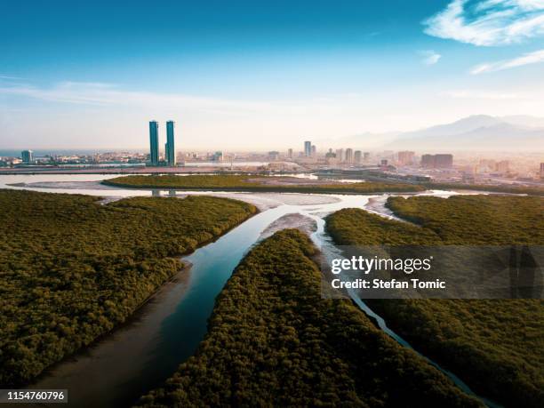 ras al khaimah mangrove forest in the uae - emirados árabes unidos imagens e fotografias de stock
