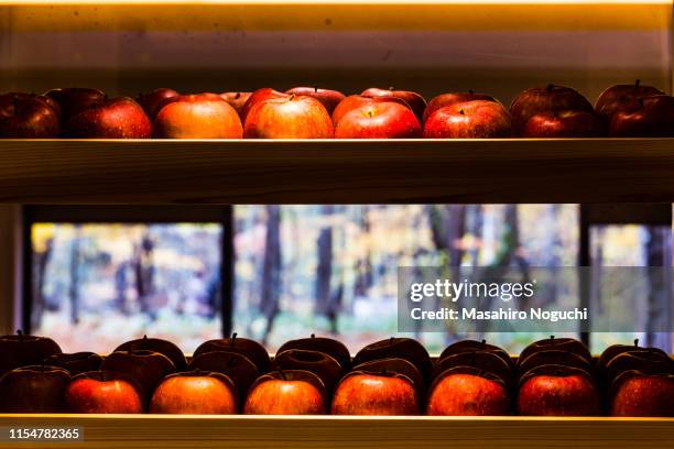 apples on display in a window - aomori prefecture stock pictures, royalty-free photos & images