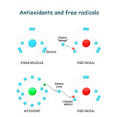 antioxidants and free radicals. free radicals are react with everything molecules on their way.