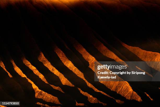 Volano Ridge Line 3,597 Shadow Ridge Stock Photos, High-Res Pictures, and Images - Getty ...