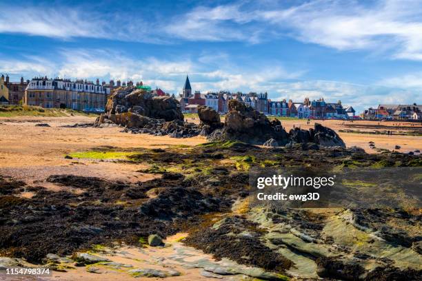 the beach at low tide in the north berwick, east lothian, scotland, uk - lothian stock pictures, royalty-free photos & images