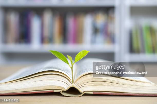 world philosophy day education concept with tree of knowledge planting on opening old big book in library with textbook, stack piles of text archive and aisle of bookshelves in school study class room - filosofie stockfoto's en -beelden