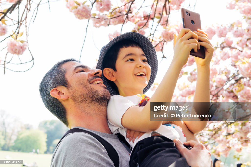 Father and son enjoying cherry blossom