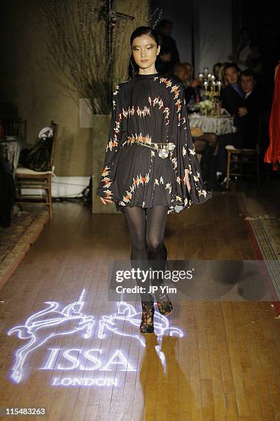 Du Juan wearing Issa Fall 2007 during Mercedes-Benz Fashion Week Fall 2007 - Issa - Runway at Salmagundi Art Club in New York City, New York, United...