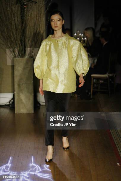 Du Juan wearing Issa Fall 2007 during Mercedes-Benz Fashion Week Fall 2007 - Issa - Runway at Salmagundi Art Club in New York City, New York, United...