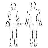 Male and female body outline
