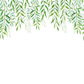 Horizontal Seamless background with branches and leaves of willows