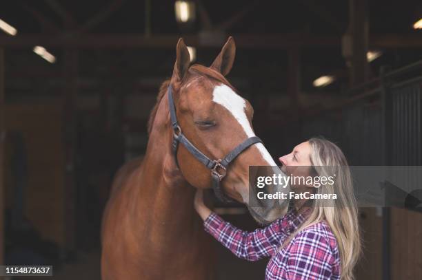 mujer de pie junto a su caballo por el granero - 1 woman 1 horse fotografías e imágenes de stock