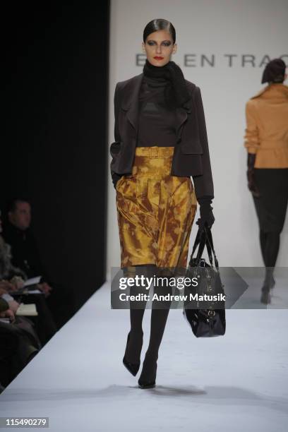 Model wearing Ellen Tracy Fall 2007 during Mercedes-Benz Fashion Week Fall 2007 - Ellen Tracy - Runway at The Showroom, Bryant Park in New York City,...